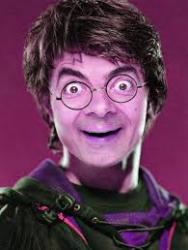 Harry Bean !